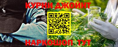 прущие грибы Новозыбков