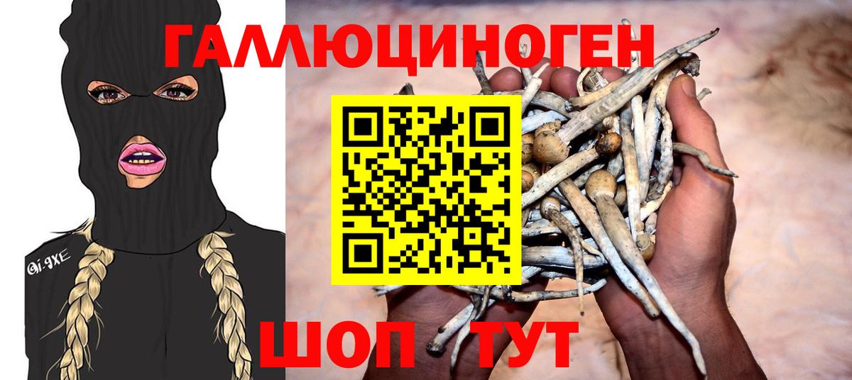 Феодосия  Галлюциногенные грибы Psilocybine cubensis  Вход с VPN 